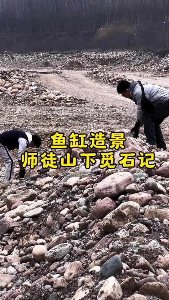 师徒山下觅石记 开缸鱼缸造景溪流缸