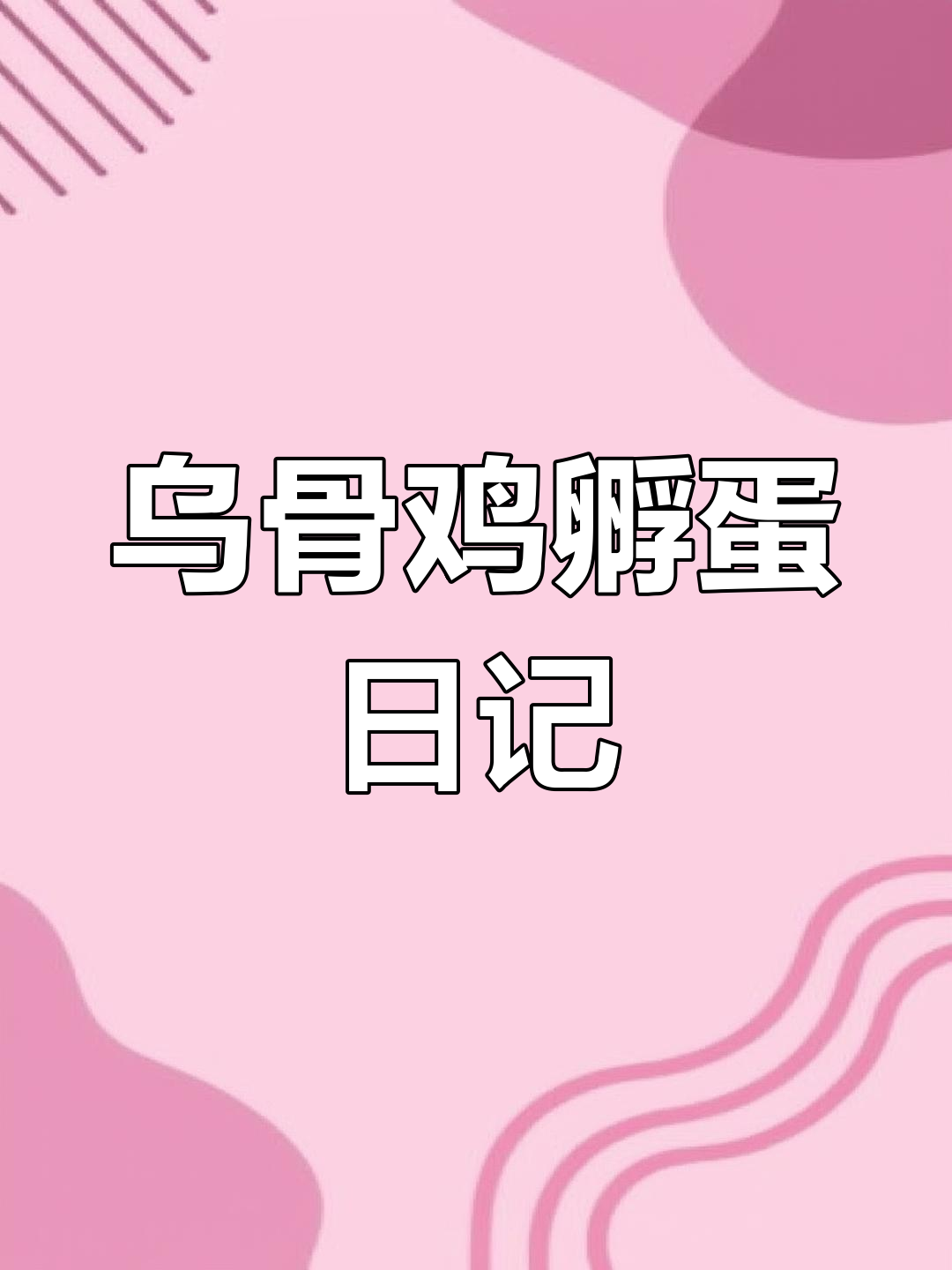 江山乌骨鸡孵化全程记录,8天照蛋看受精情况
