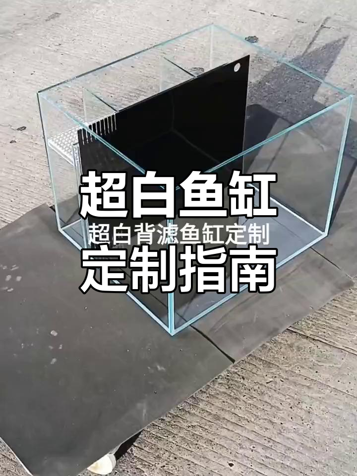 超白鱼缸制作与干湿分离技巧,定制草缸造景全解析