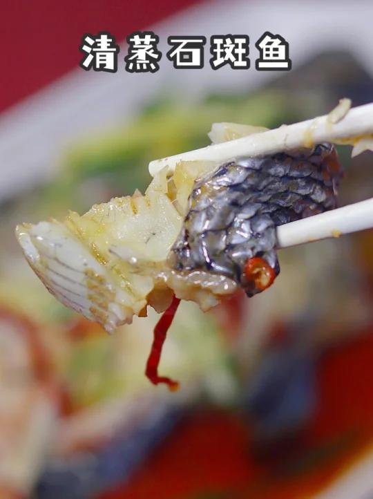 「学院薯Talking」|清蒸石斑鱼,好吃易学