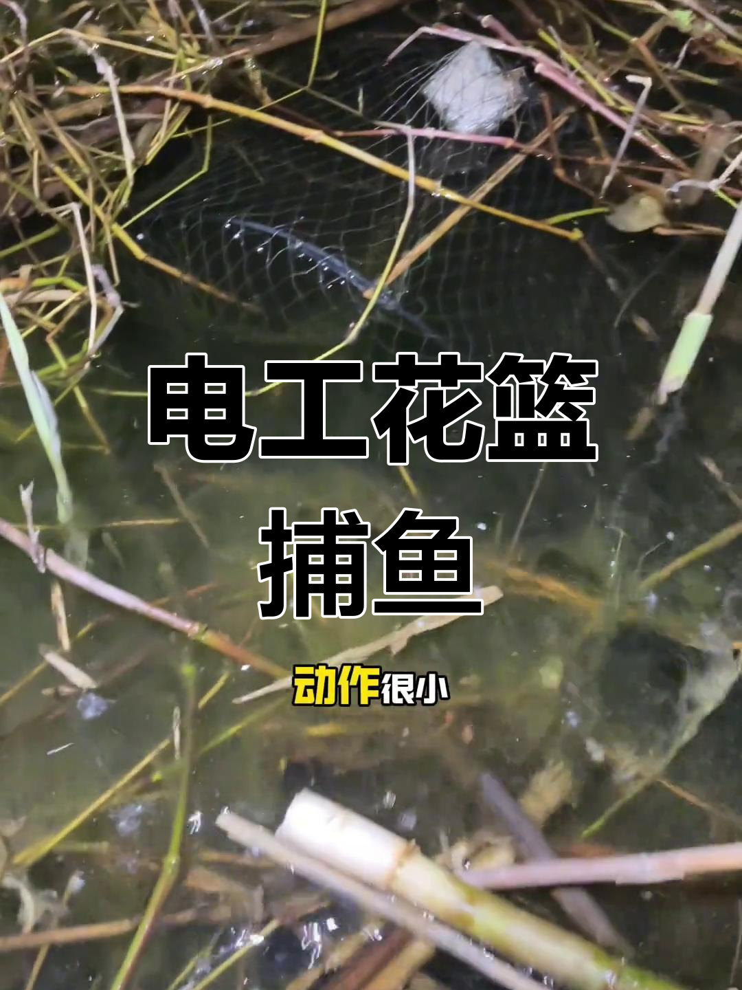 花篮捕鱼大作战,电工技巧全揭秘!