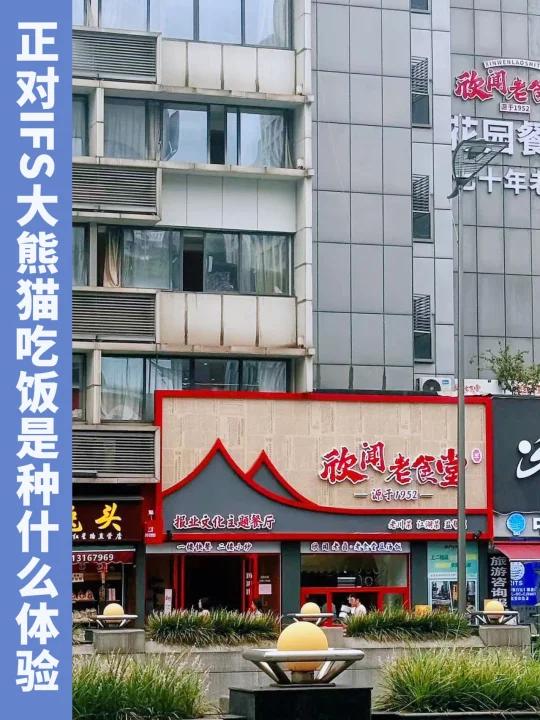 春熙路有一个无遮挡看熊猫的老川菜馆!