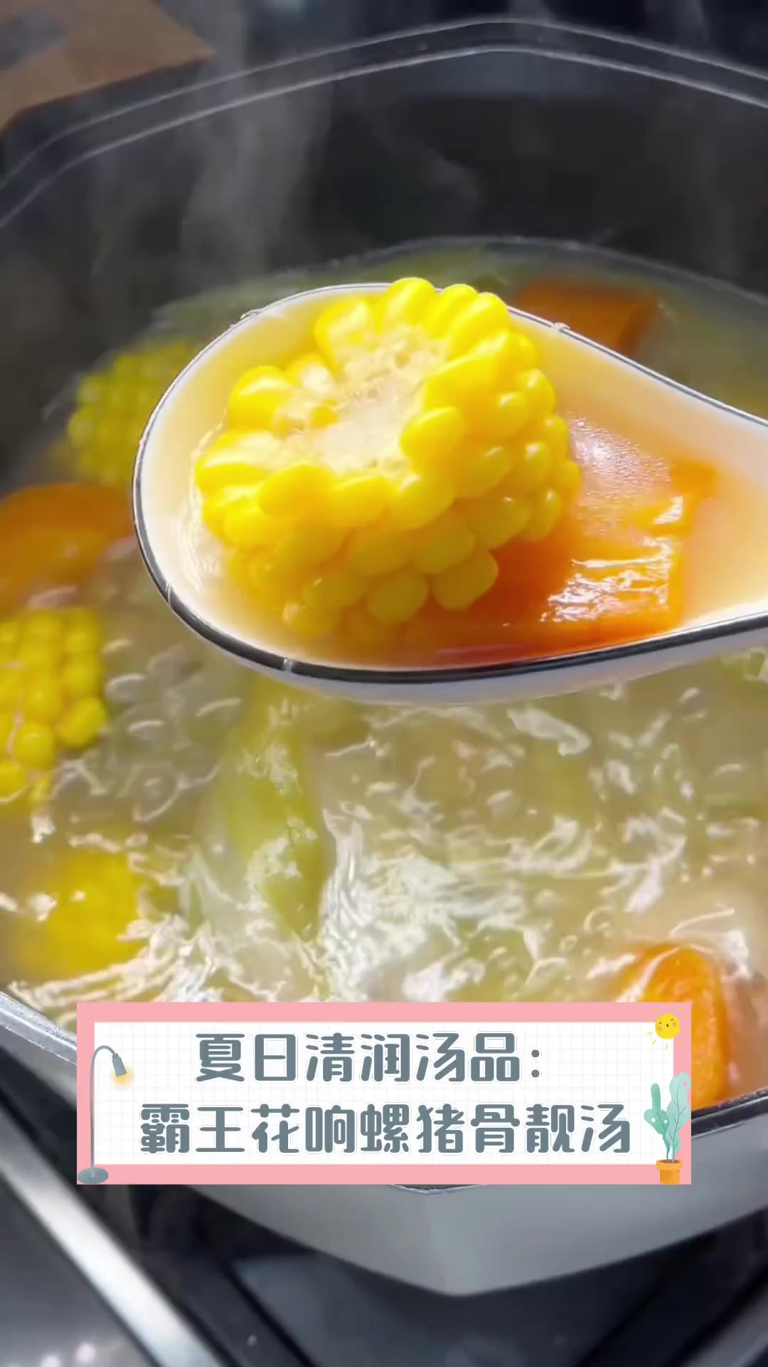 夏日清润汤品:霸王花响螺猪骨靓汤