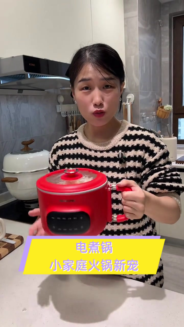 电煮锅，小家庭火锅新宠