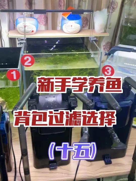 从0开始学养鱼「第十五节」背包过滤的选择,以上仅是我使用的背包过滤的测评,至于怎么选择大家