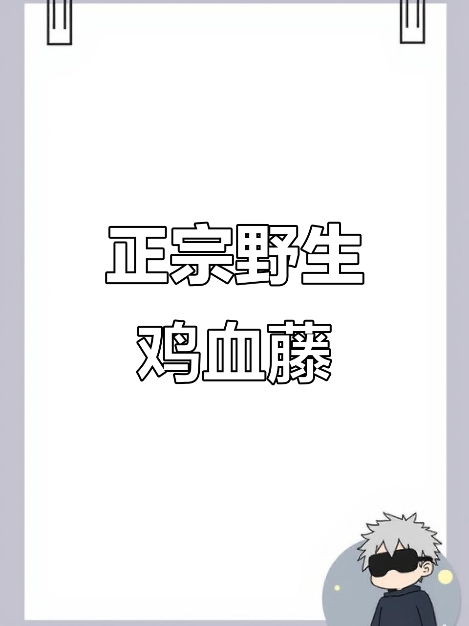 广东龙门深山野生鸡血藤,煲汤食材干货500克包邮