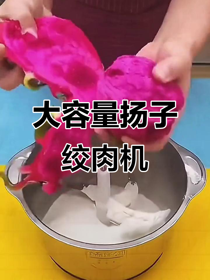 扬子不锈钢绞肉机,大容量设计轻松搞定家庭厨房需求
