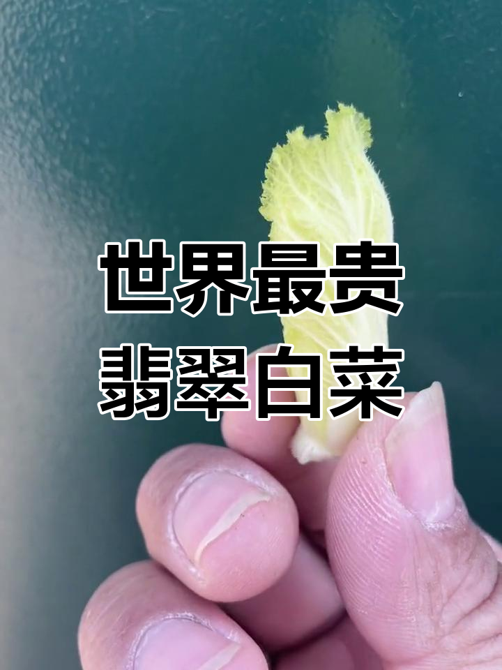 台北故宫的翡翠白菜:世界上最贵的蔬菜