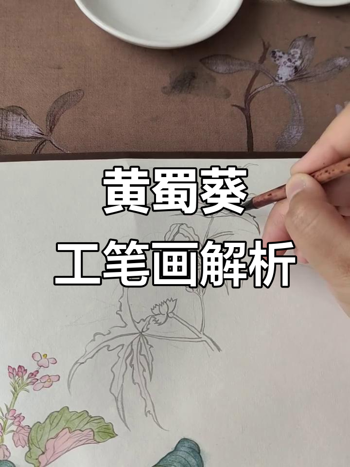 二十四番花信风:黄蜀葵的工笔之美与线描艺术