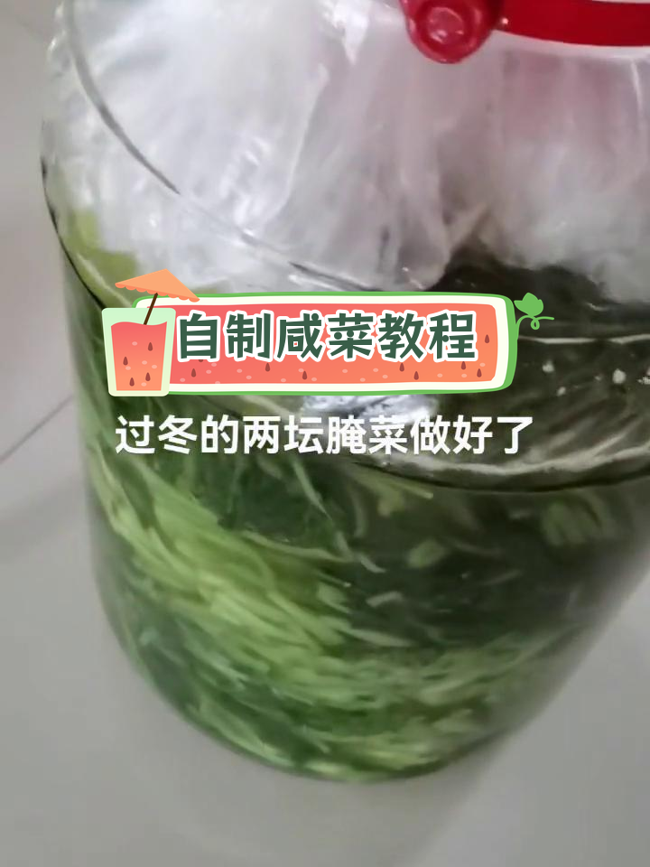 腌腊菜的做法,晒干后腌制一个月