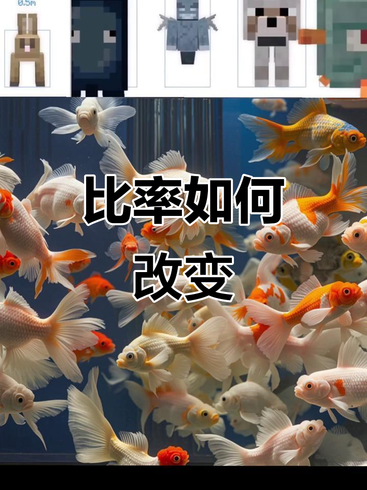 鱼缸里的比率变化:白色金鱼与橙色鲸鱼的对比