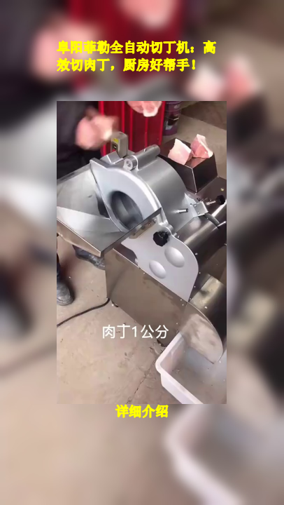 阜阳菲勒全自动切丁机:高效切肉丁,厨房好帮手!