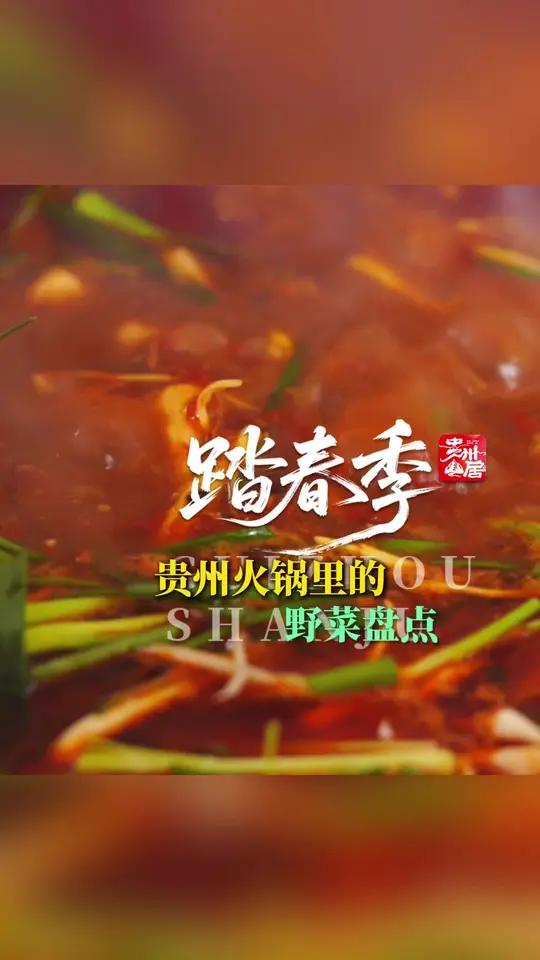 贵州火锅里到底藏了多少种野菜?看完这条视频,下次去贵州火锅店,点菜不迷茫!