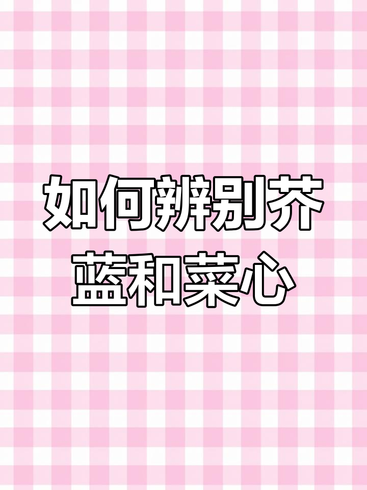 芥蓝与菜心的区别,如何正确保存才能保持新鲜脆嫩
