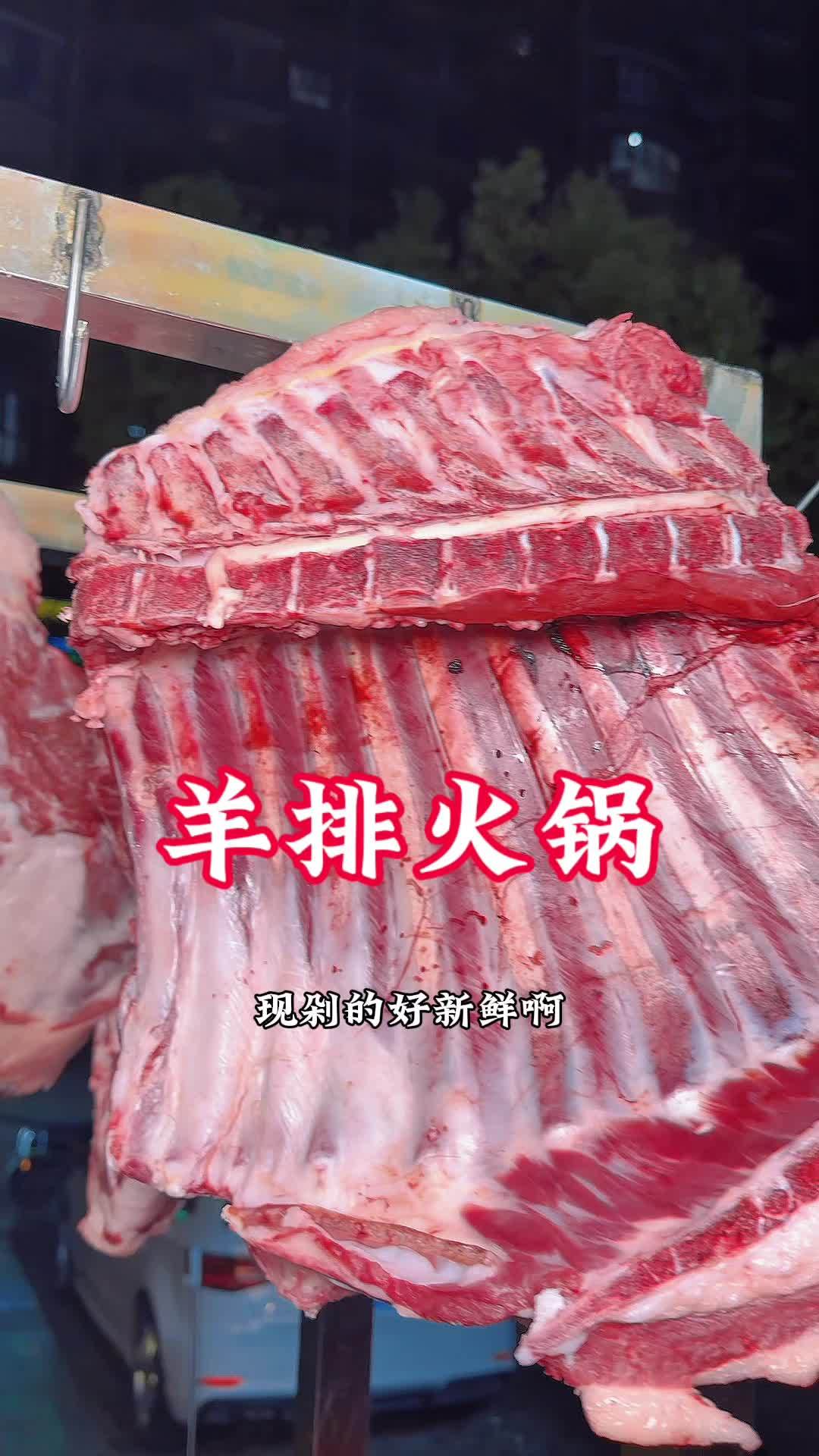 新疆新鲜羊排火锅,食材品质真的没话说,68吃羊排火锅,吃烤羊排。左下角有团购。必吃榜 天儿