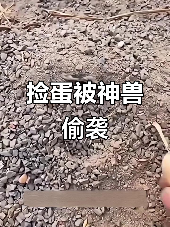 男子捏碎蛋后遭神秘动物猛踹,逃之夭夭