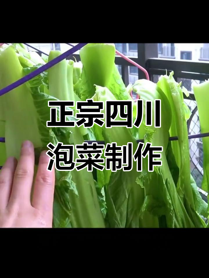 四川老坛酸菜的独特做法,秘诀全在这!