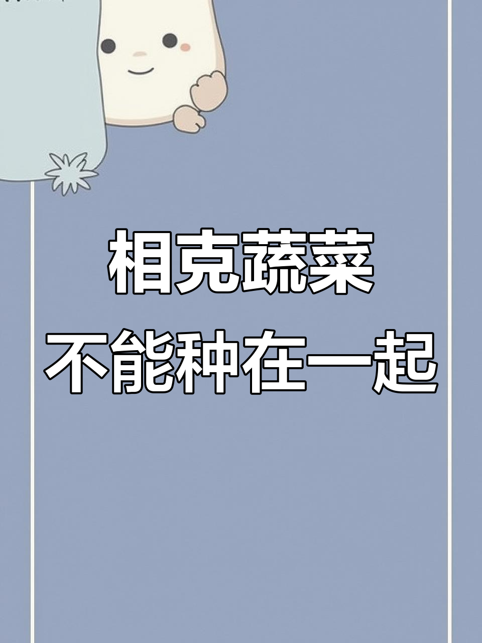 蔬菜种植有禁忌,这些组合不宜放一起