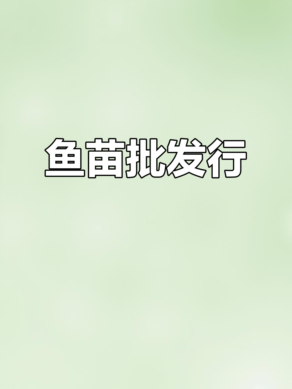 佛山、深圳鱼苗批发,优质鲈鱼供应