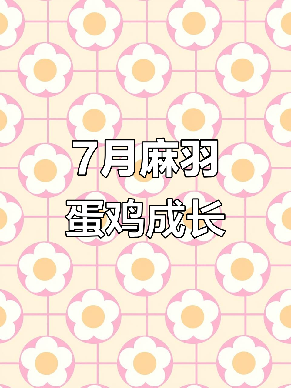 7个月麻羽绿壳蛋鸡成长记,养殖不易每天记录