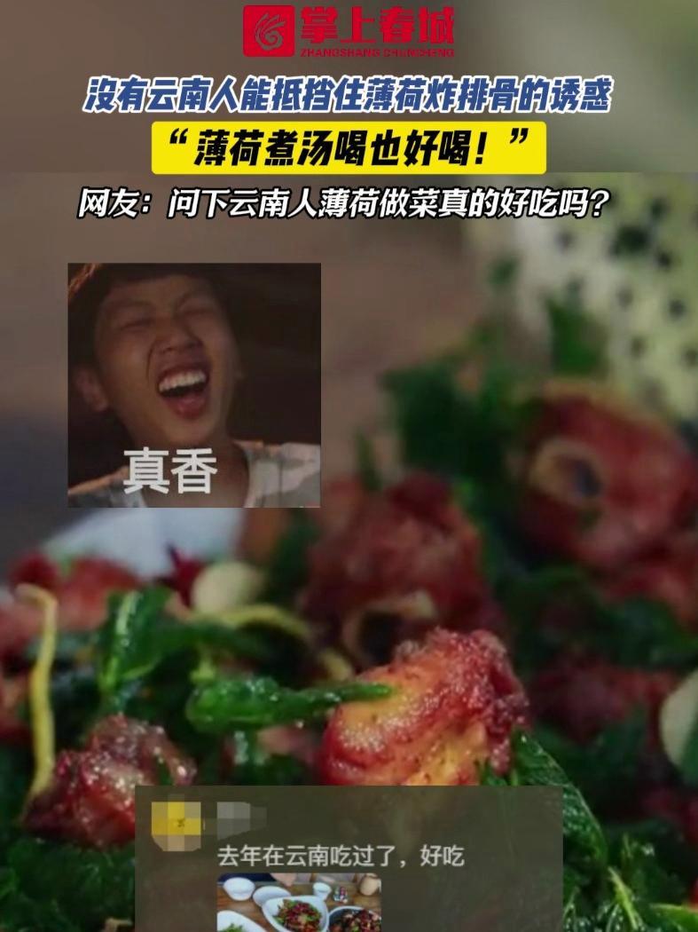 没有云南人能抵挡住薄荷炸排骨的诱惑,“薄荷煮汤喝也好喝!”网友:问下云南人薄荷做菜真的好吃