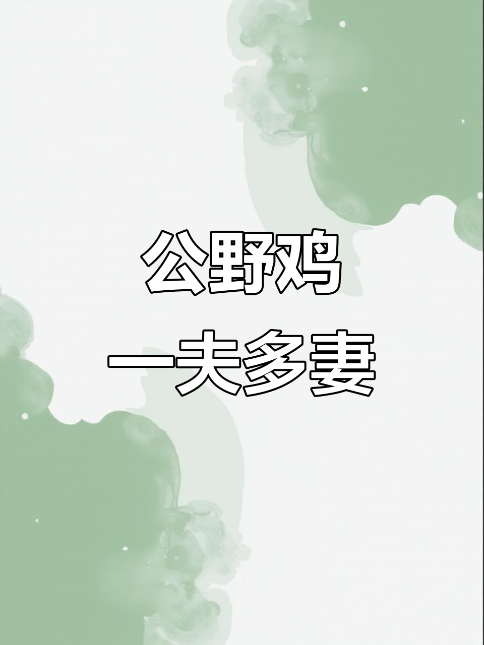 野鸡竟是一夫多妻制,公母比例惊人!
