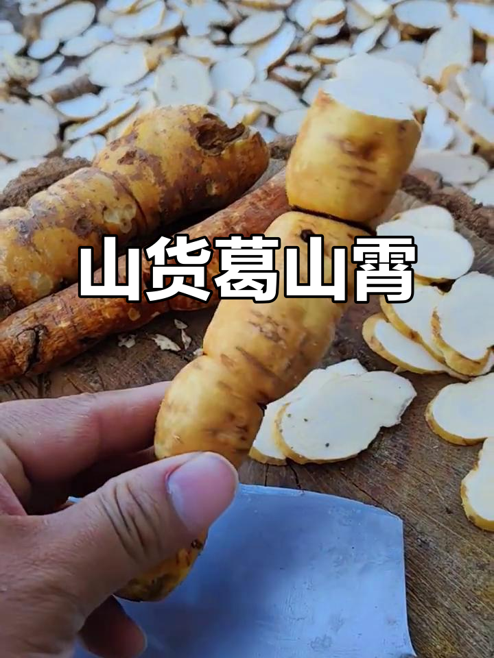 深山里的宝贝,吃了隔山消窝尿飙高