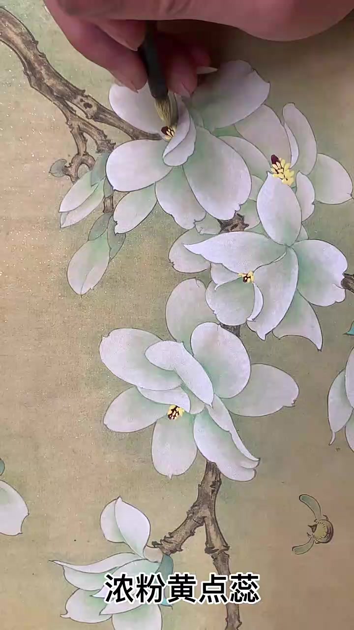 零基础|工笔玉兰花