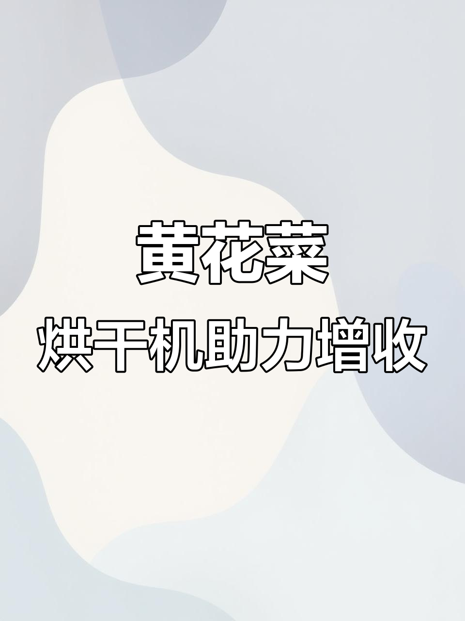 赵大哥亲测黄花菜烘干机,效果惊艳!致富之路更轻松