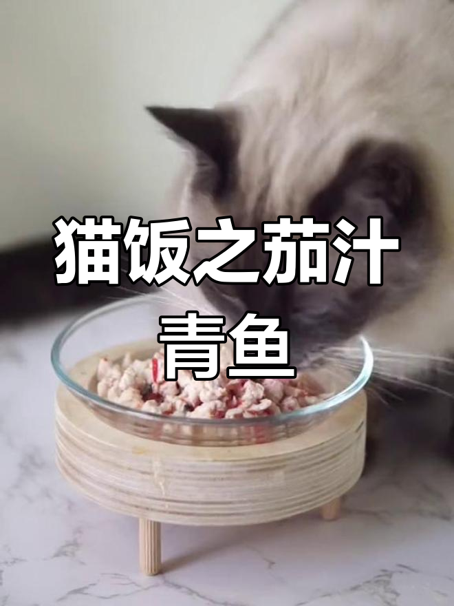 猫咪专用茄汁鲭鱼食谱