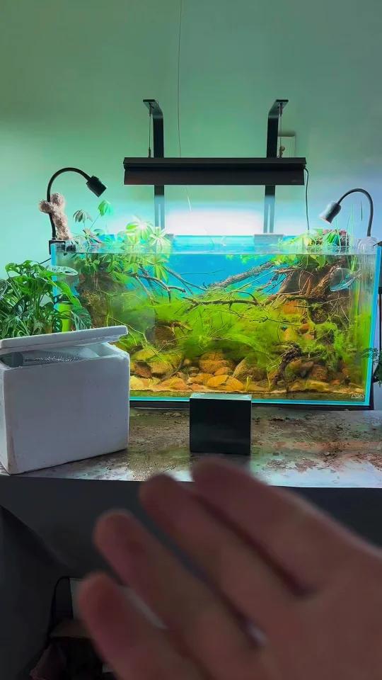 好物分享“吉印 光氧精灵”超方便的氧气泵