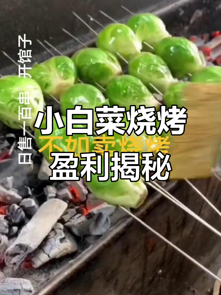 烧烤小白菜:成本与利润分析