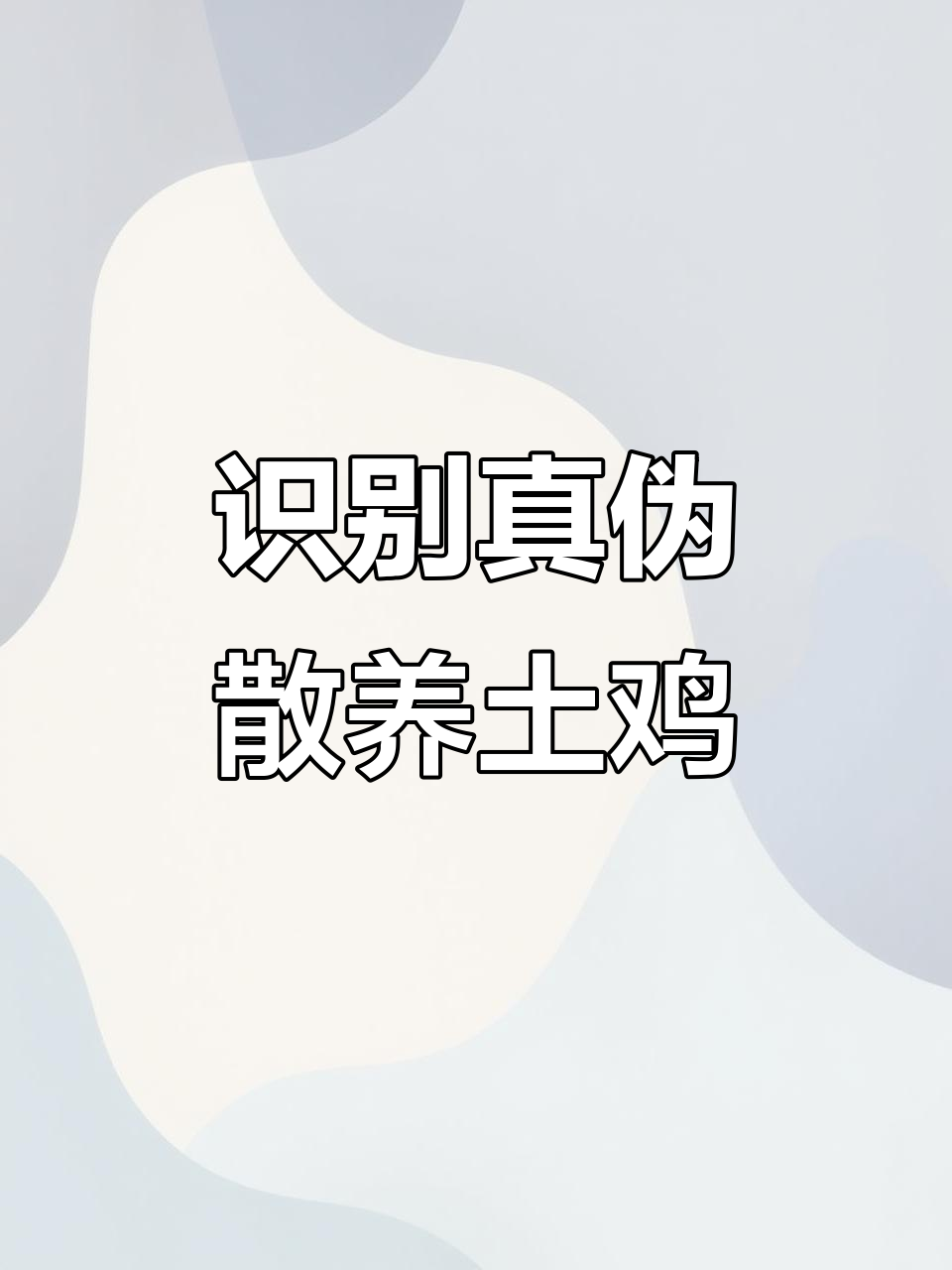 如何辨别真假散养土鸡,避免买到笼养鸡