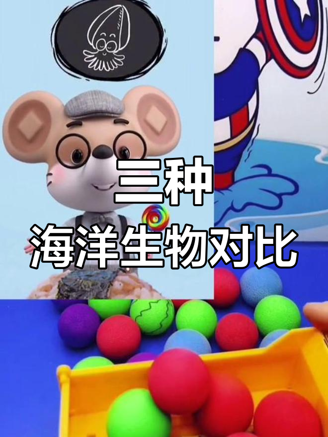 八爪鱼、墨鱼与鱿鱼的差异解析