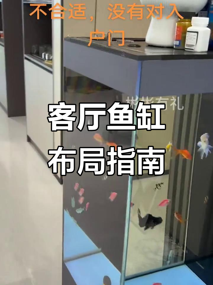 客厅鱼缸摆放技巧,打造空气缸与天使鱼的完美搭配