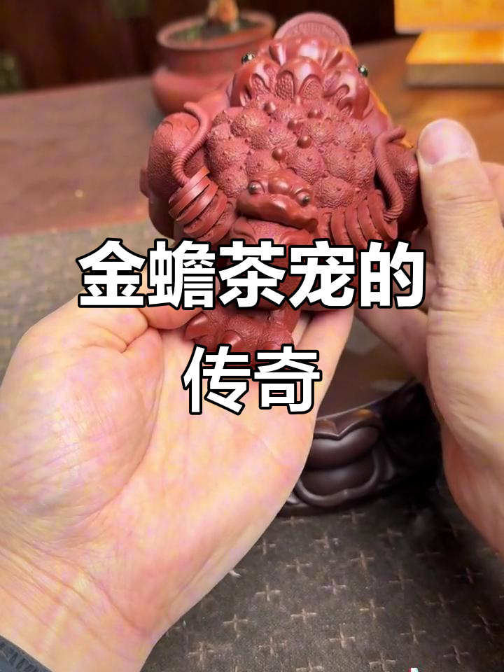 紫砂金蟾茶宠:从痴情到蜕变,天鹅与蛤蟆的故事