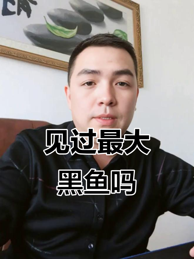 黑鱼能长多大?钓友们分享巨物黑鱼的惊人尺寸