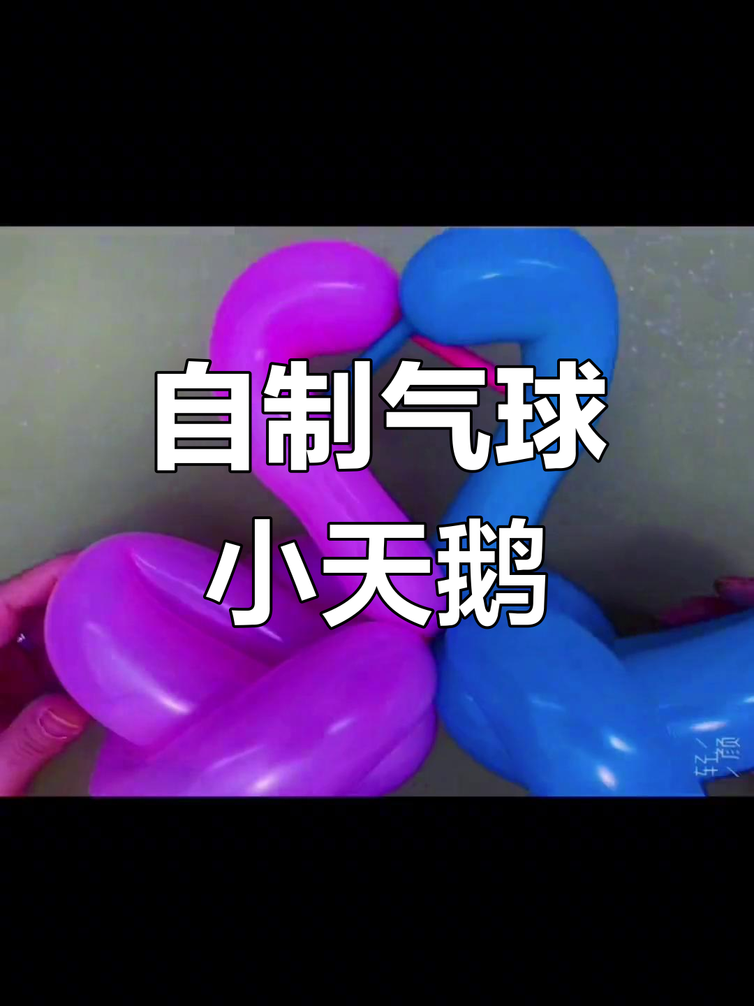 气球天鹅手工制作教程