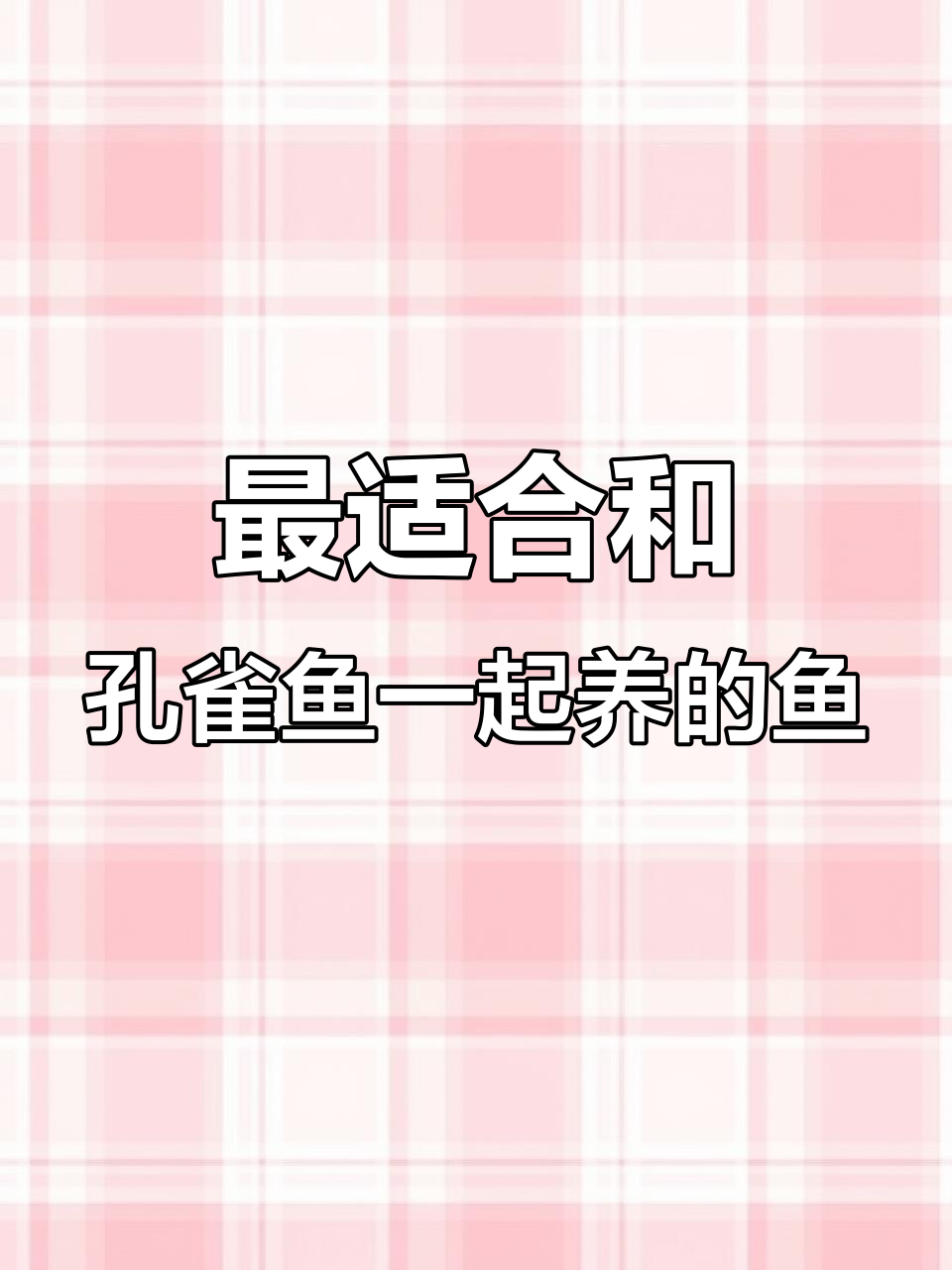 孔雀鱼与玛丽鱼的完美混养,性格温和又美丽