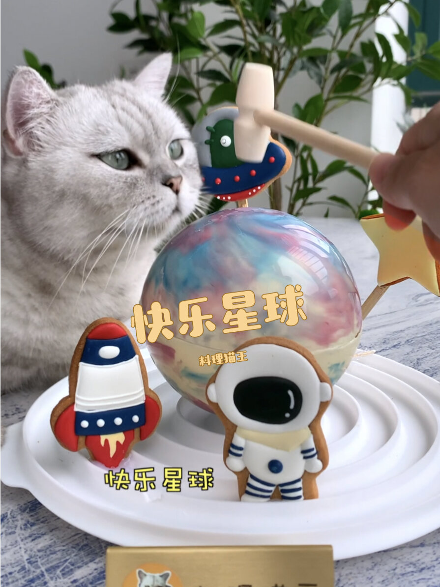 猫王:这就是快乐星球,送给所有大小宝宝