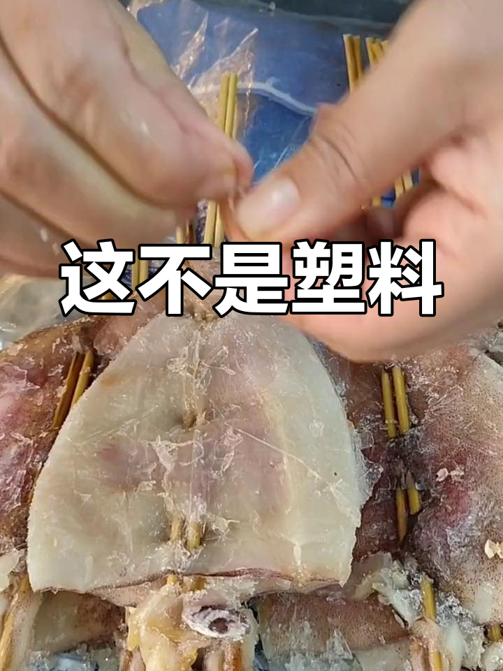 这是鱿鱼骨,不是塑料!你信吗?