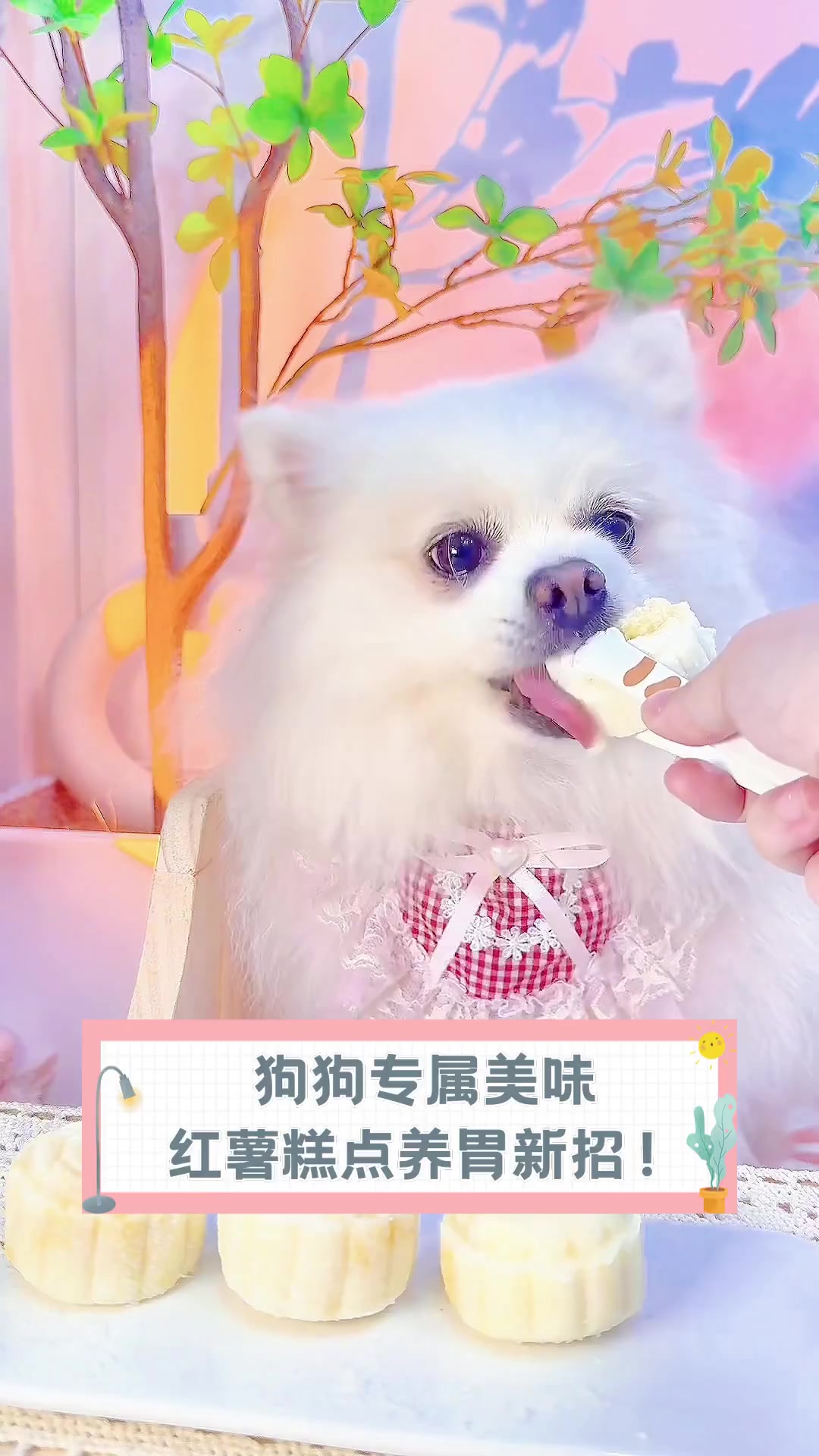 狗狗专属美味,红薯糕点养胃新招!