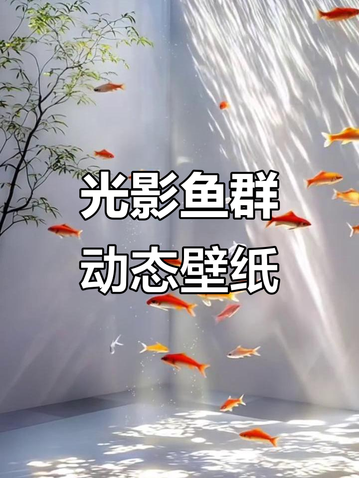 鱼群光影动态壁纸,治愈心灵的美妙体验