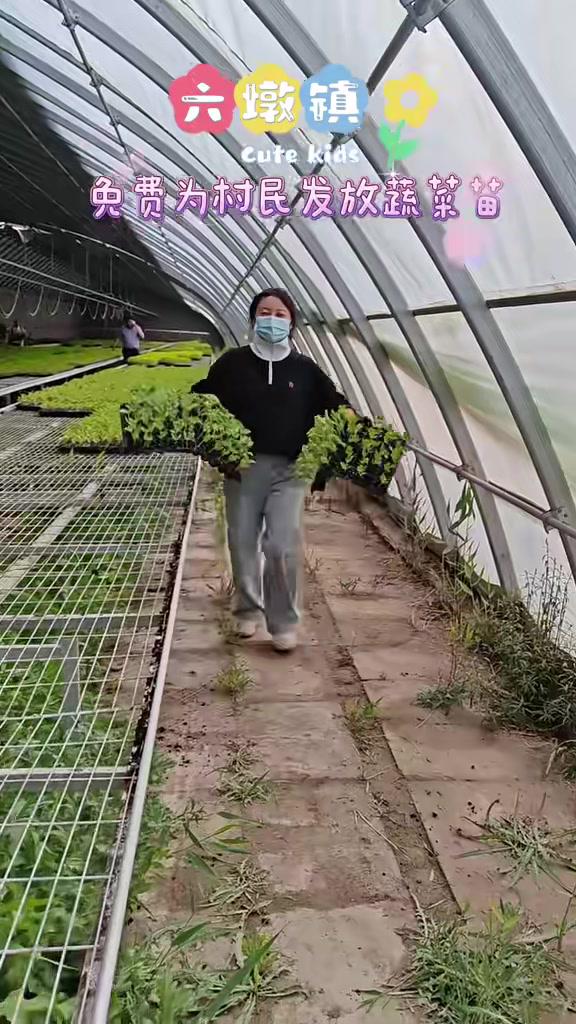 玉门市六墩镇免费为村民发放蔬菜苗 厚道甘肃