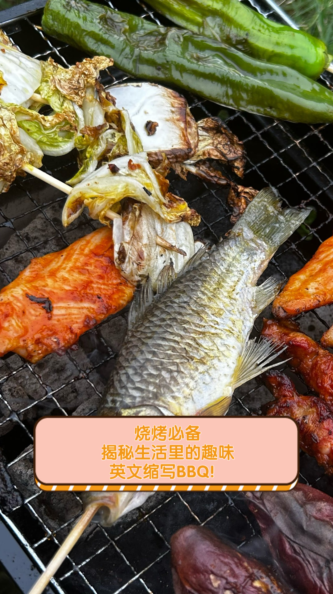 烧烤必备,揭秘生活里的趣味英文缩写BBQ!