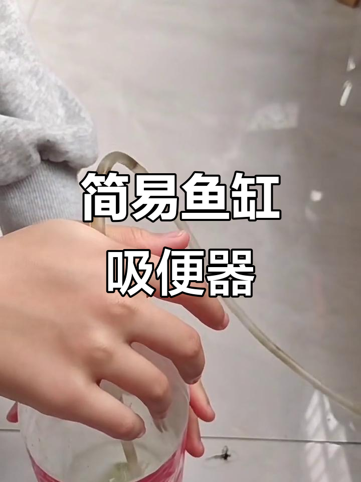 简易鱼缸吸便器升级版,轻松清理脏水浇花