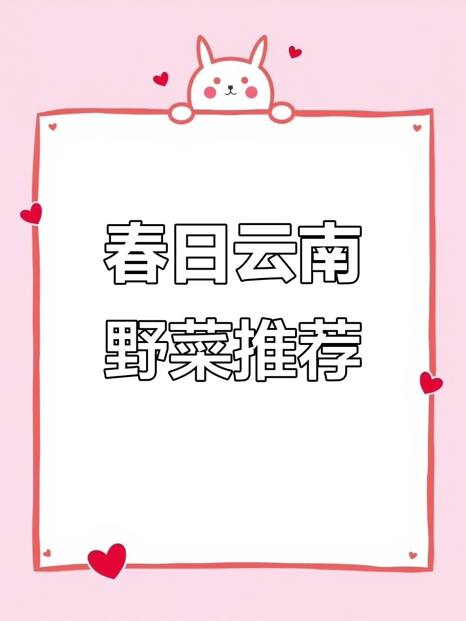 云南春季必吃野菜大揭秘，尝鲜不容错过！