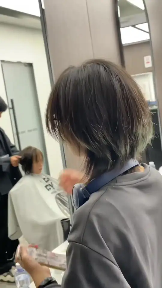 高层次狼尾鲻鱼头