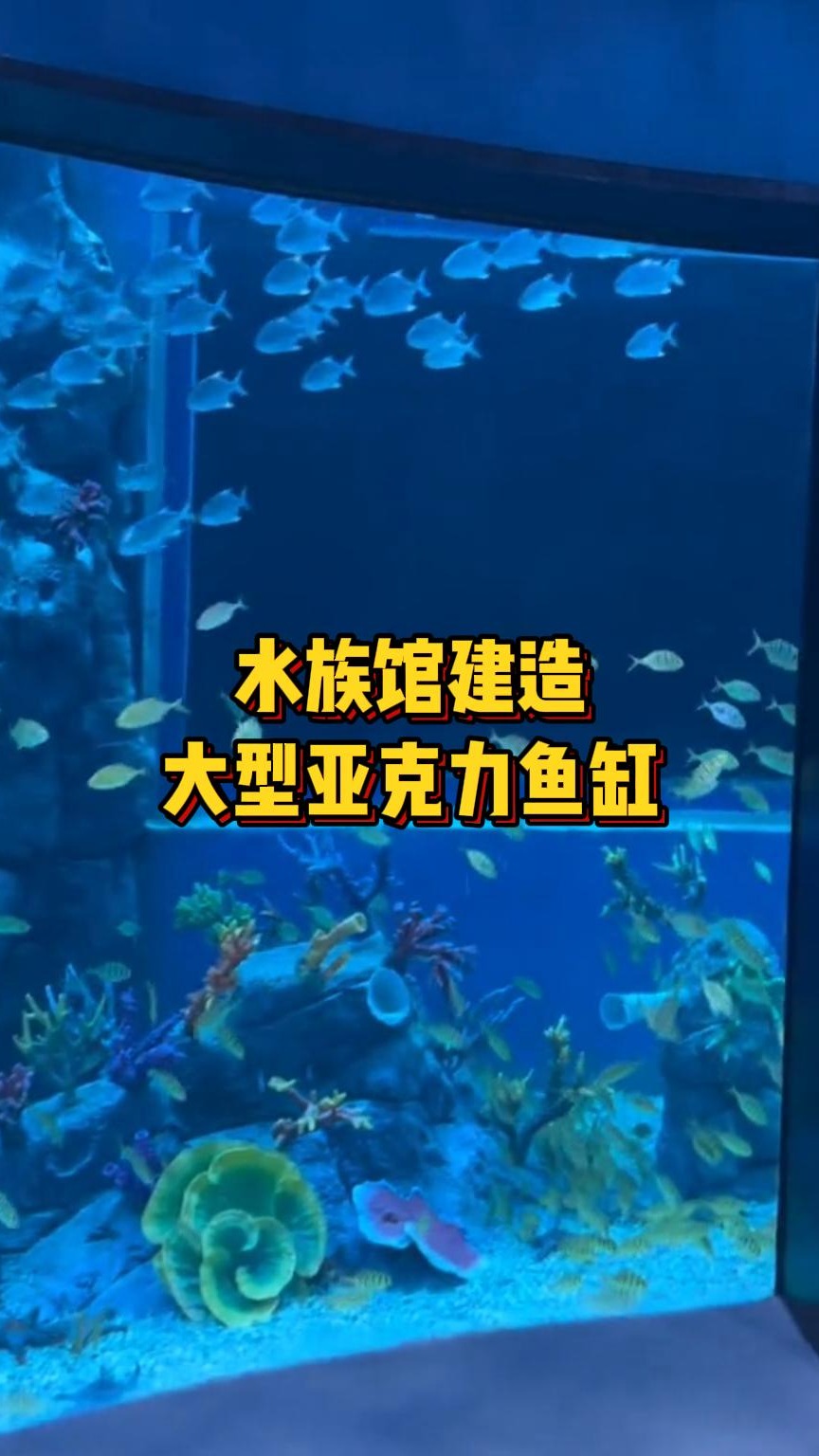 亚克力鱼缸定制,根据个人需求定制不同的鱼缸形状和款式