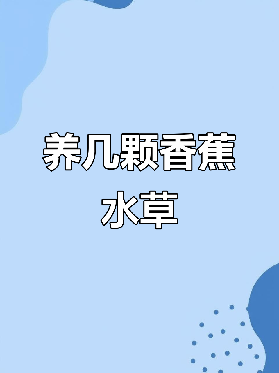鱼缸必备香蕉水草,轻松打造天空之城